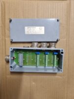 Transmetteur de pesage Type BR modèle 31 – Image 2