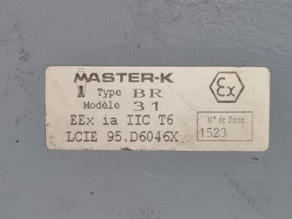 Transmetteur de pesage Type BR modèle 31 – Image 1