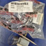 Thermostat 1 sonde 0/90°C 1010-0003